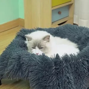 JUNSPOW Cat Bed Hammock + pet Blanket Set Cat Bed Blanket Dog Bed Blanket, Soft Pet Bed Blanket Grey Cat Bed With Blanket - sleep restfully