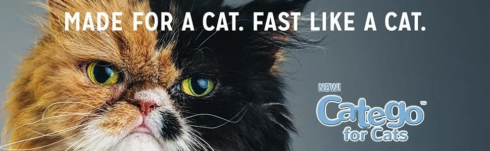 Catego Flea and Tick Control for Cats (6 doses) Over 1.5 lbs, 8 Weeks or Older - cat fleas, Frontline plus for cats, advantage II, my cat has fleas,