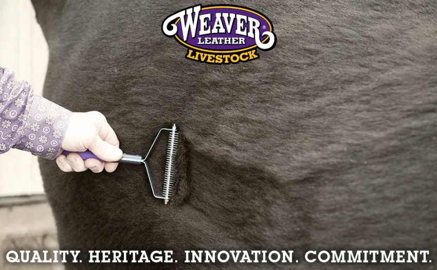 Weaver Leather Livestock Shedding Comb Original Version - Weaver Leather Livestock