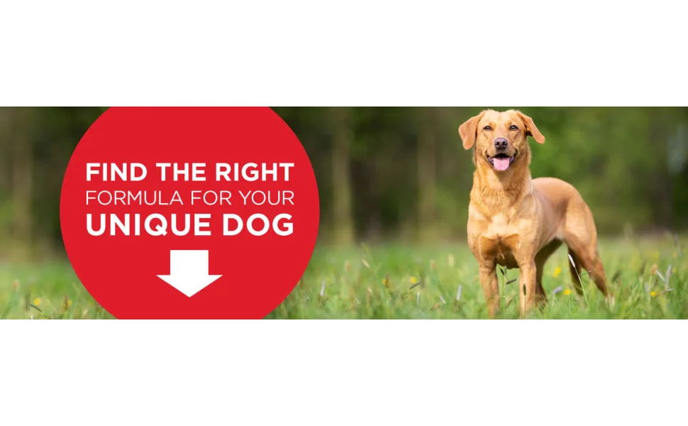 Purina ONE SmartBlend Vibrant Maturity Senior 7+ Formula Dog Food Dry Food Chicken 8 lb. Bag - Find the right formula for your unique dog
