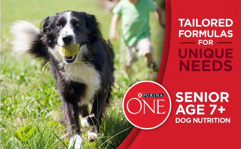 Purina ONE SmartBlend Vibrant Maturity Senior 7+ Formula Dog Food Dry Food Chicken 8 lb. Bag - Tailored formulas for unique needs. Purina ONE dog food for senior age seven plus dog nutrition