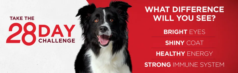 Purina ONE SmartBlend Vibrant Maturity Senior 7+ Formula Dog Food Dry Food Chicken 8 lb. Bag - Take the twenty eight day challenge. What difference will you see?