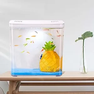 Carefree Fish 1.2Gallon Fish Tank Office USB Small Betta Aquarium LED Light with Filter No Decor - product information 3
