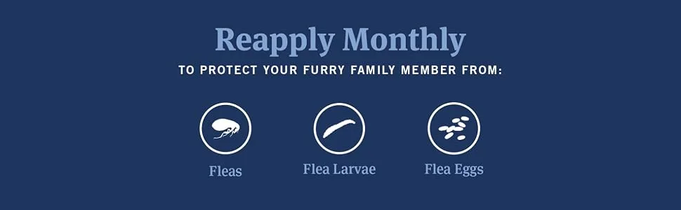 PetArmor Advanced 2 Flea Prevention for Large Cats, 6 Month Supply - Reapply Monthly