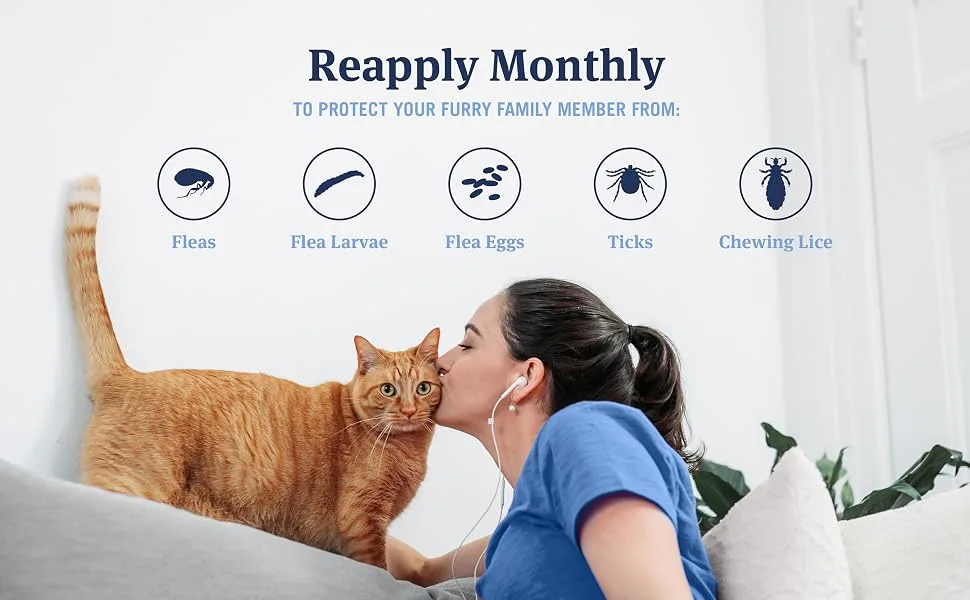 PetArmor Plus Flea & Tick Prevention, Fast Acting & Long Lasting, Cats Over 1.5 lbs 6 Count - Reapply Monthly to Protect Your Furry Family member