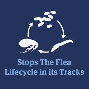 PetArmor Plus Flea & Tick Prevention, Fast Acting & Long Lasting, Cats Over 1.5 lbs 6 Count - Stops the Flea Life-Cycle