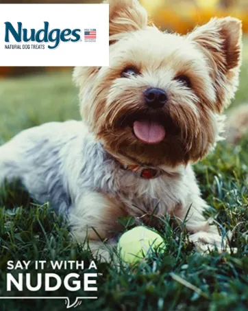 Nudges Natural Dog Treats Jerky Cuts Made with Real Chicken - SIWAN