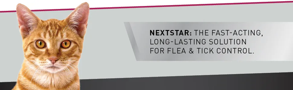 NEXTSTAR Topical Flea & Tick Treatment & Prevention for Cats over 3.5 lbs, Fast Acting, 3-Month Supply - the fastest
