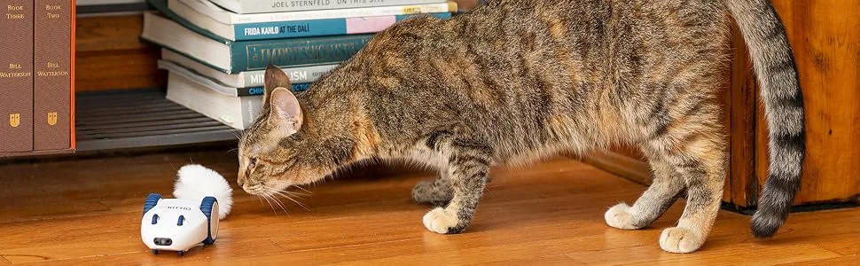 Kittio Robo Mouse - Interactive Mouse Chase Cat Toy - USB Charging - Smart Steering Sensors & Motion Activated - Robo Mouse Banner