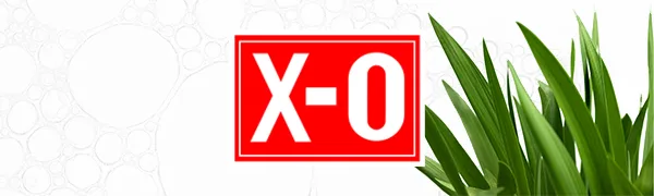 X-O Odor Neutralizer Cleaner for Pets, Ready-to-Use (8oz, 16oz, 1gal) - Natural, Plant-Based Odor Eliminator Deodorizer 16oz + 1-Gallon Refill - X-O Logo