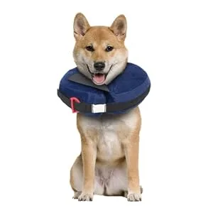 Calm Paws Dog Caring Collar W/Calming XS Large - Inflatable Collar