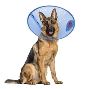 Calm Paws Dog Caring Collar W/Calming XS Large - Plastic E-Collar