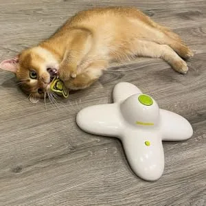 All for Paws Interactive Cat Toys Flutter Bug Cat Butterfly Toy Automatic Kitten Flying Toys Smart Cat Toy for Indoor Cats Classic - cat toy
