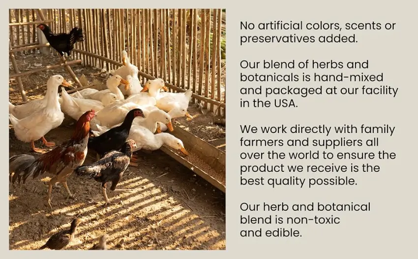 Chicken Nest Box Herbs 1 Pound Bag (1 Pound) - No artificial colors, scents or preservatives. Hand mixed in USA. Non-toxic and edible