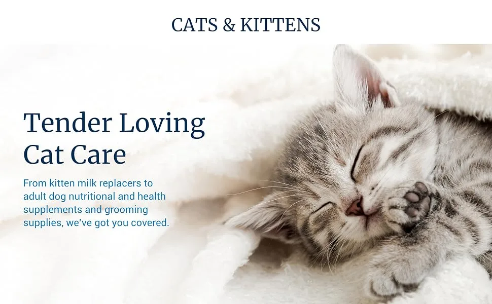 PetAg KMR Kitten Milk Replacer Liquid - Growing Kittens or Adult Cat - 11 Fl Oz - 4 Pack - Petag