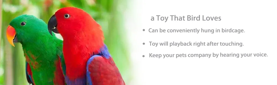Colorday Bird Talking Coach & Interactive Voice Bell Toy (Patent Pending) Blue - Colorda Bird Toy talking trainer