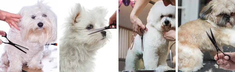 YeaSee 7.5 inches Professional Dog Grooming Scissors Set Straight & thinning & Curved & chunkers 5pcs in 1 Set (with Comb) - grooming scissors