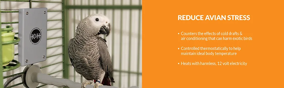 K&H Pet Products Thermo-Perch Heated Bird Perch Small 1 X 10.5 Inches Recyclable Box - unspecified