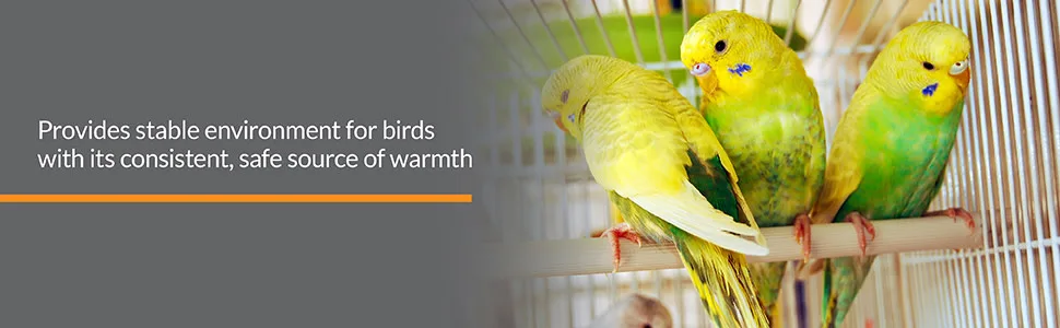 K&H Pet Products Thermo-Perch Heated Bird Perch Small 1 X 10.5 Inches Recyclable Box - unspecified