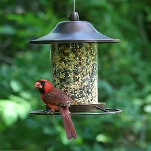 Perky-Pet 312-1SR Outdoor Panorama Wild Bird Feeder - 2 Lb Seed Capacity Brown Feeder - product information 2