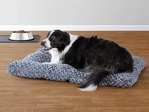 Amazon Basics Plush Dog Pet Bed Pad 23 in - Amazon Basics plush, fuzzy pet bed for dogs, cats, pets
