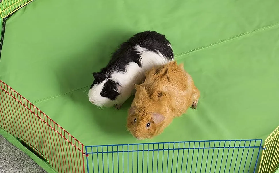 Prevue Pet Products Playpen Cover/Mat - product information 5