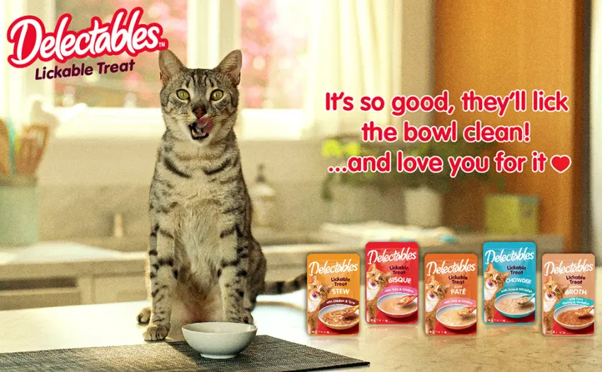 Hartz Delectables Squeeze Up Interactive Lickable Wet Cat Treats for Adult & Senior Cats, Multiple Flavors Variety 0.5 Ounce - 48 Count (Pack of 1) - lickable treat pouches