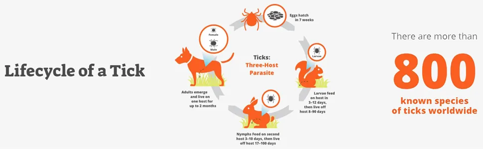 Hartz - UltraGuard Onespot - Cat - product information 5