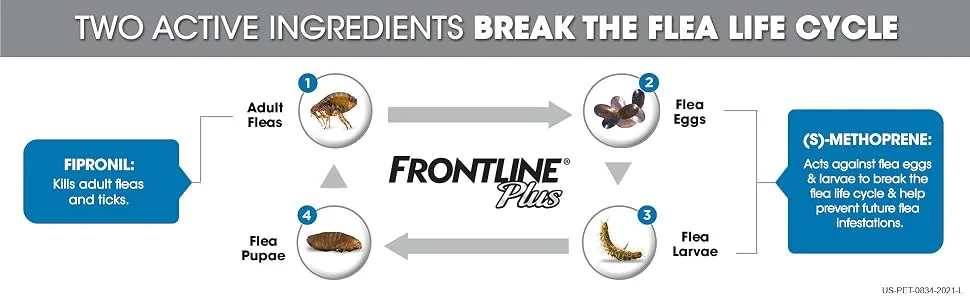 FRONTLINE Flea and Tick Treatment for Dogs Medium Dogs 3 count - Flea and Tick Lifecycle