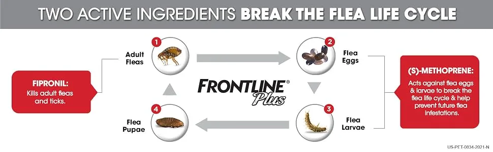 FRONTLINE Plus Flea and Tick Treatment for Dogs (Extra Large Dog, 89-132 Pounds) 3 Count - Flea and Tick Lifecycle