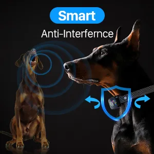 Dog Bark Collar, DINJOO Bark Collar for Large Medium Small Dogs,Smart Bark Collar,Rechargeable Anti Barking Training Collar with 8 Adjustable Sensitivity,Bark Shock Collar with Beep Vibration Shock Black - bark collar