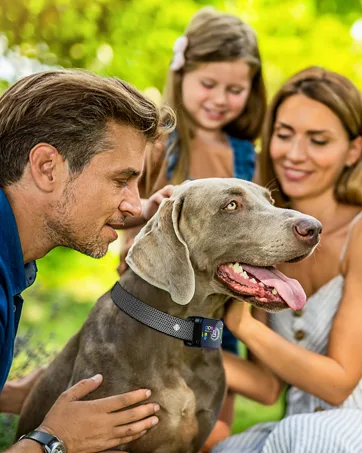 Dog Bark Collar, DINJOO Bark Collar for Large Medium Small Dogs,Smart Bark Collar,Rechargeable Anti Barking Training Collar with 8 Adjustable Sensitivity,Bark Shock Collar with Beep Vibration Shock Black - bark collar