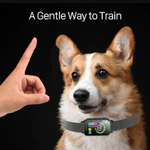 Dog Bark Collar, DINJOO Bark Collar for Large Medium Small Dogs,Smart Bark Collar,Rechargeable Anti Barking Training Collar with 8 Adjustable Sensitivity,Bark Shock Collar with Beep Vibration Shock Black - dog bark collar