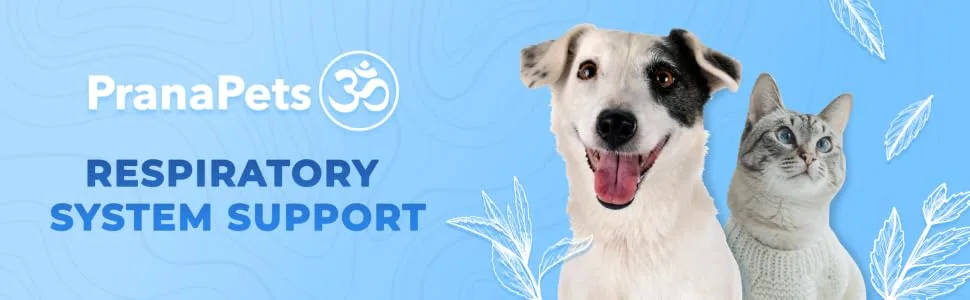 Respiratory Support Formula by Prana Pets Naturally Promotes Optimal Respiratory Function in Dogs and Cats 1 Pack - prana pets respiratory system support
