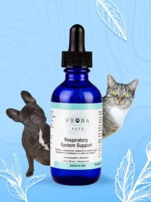 Respiratory Support Formula by Prana Pets Naturally Promotes Optimal Respiratory Function in Dogs and Cats 1 Pack - prana pets respiratory system support
