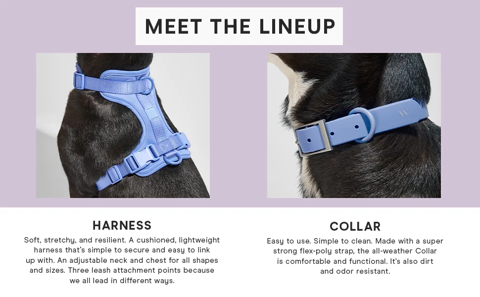 Wild One Dog Harness, No-Pull Pet Harness with 3 Leash Clips, Adjustable Soft Padded Dog Vest, Comfortable, Stretchy Tan Medium - lineup