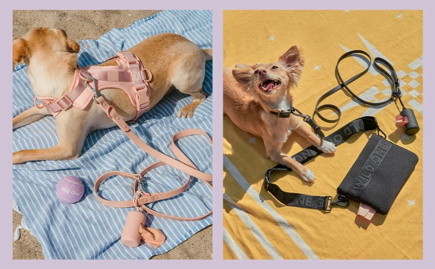 Wild One Dog Harness, No-Pull Pet Harness with 3 Leash Clips, Adjustable Soft Padded Dog Vest, Comfortable, Stretchy Tan Medium - matching