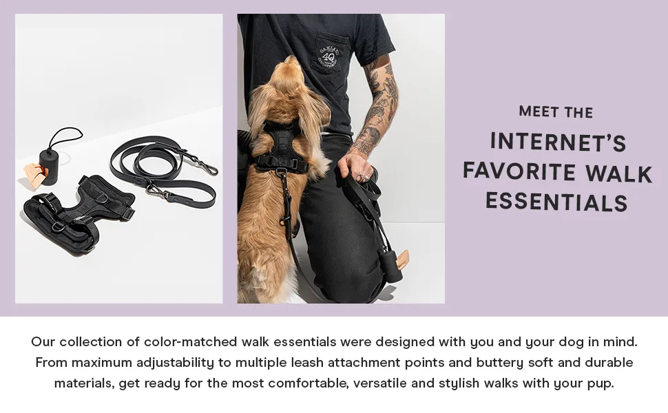 Wild One Dog Harness, No-Pull Pet Harness with 3 Leash Clips, Adjustable Soft Padded Dog Vest, Comfortable, Stretchy Tan Medium - walk