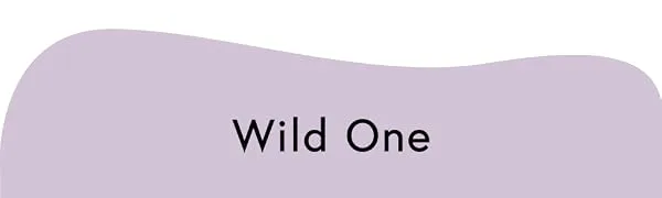 Wild One Dog Harness, No-Pull Pet Harness with 3 Leash Clips, Adjustable Soft Padded Dog Vest, Comfortable, Stretchy Tan Medium - wild one