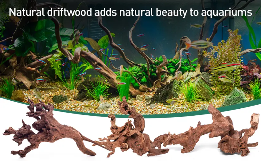 WDEFUN Natural Driftwood for Aquarium Decor,Assorted Branches Decorations on Reptile Fish Tank 9-14 inch(pack of 2) - driftwood