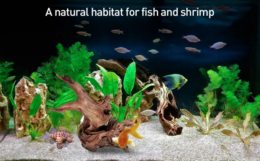 WDEFUN Natural Driftwood for Aquarium Decor,Assorted Branches Decorations on Reptile Fish Tank 9-14 inch(pack of 2) - driftwood