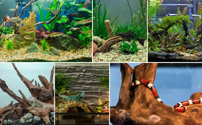 WDEFUN Natural Driftwood for Aquarium Decor,Assorted Branches Decorations on Reptile Fish Tank 9-14 inch(pack of 2) - driftwood