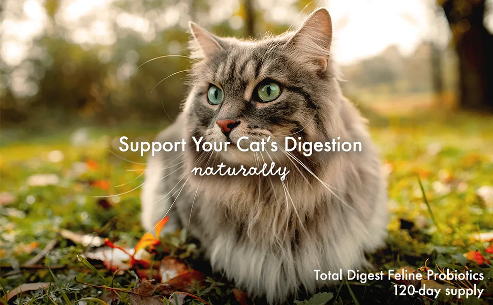 Total Digest Feline Probiotics and Enzymes, All-Natural Digestive System Dietary Supplement Formula for Cats (120 Servings) - Support Your Cat