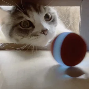 Cheerble Smart Interactive Cat Toy, Automatic Moving Bouncing Rolling Ball for Indoor Cat Kitten, Self Rotating Ball with Lights and Bell 1 Red - cat ball toy
