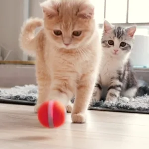 Cheerble Smart Interactive Cat Toy, Automatic Moving Bouncing Rolling Ball for Indoor Cat Kitten, Self Rotating Ball with Lights and Bell 1 Red - cat ball toy