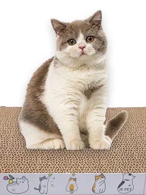 PatiencET Cat Scratcher Cat Scratch Pad Reversible Scratcher Scratching Texture Design Durable Scraper 4pack - Choose PatiencET scratching pad