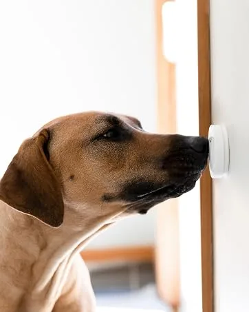 Mighty Paw Smart Bell 2.0, Dog Potty Communication Doorbell, Super-Light Press Button Doorbell 1 Activator White - Mighty Paw Smart Bell