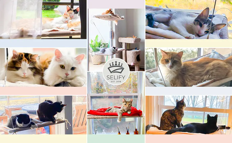 Selify Cat Window Perch - Free Fleece Blanket and Toy  Extra Large and Sturdy  Holds Two Large Cats  Easy to Assemble! - cats in cat perches