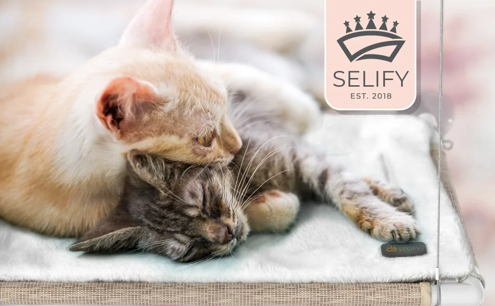 Selify Cat Window Perch - Free Fleece Blanket and Toy  Extra Large and Sturdy  Holds Two Large Cats  Easy to Assemble! - Selify Cat Window Hammock