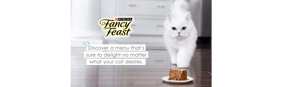 Purina Fancy Feast Gravy Lovers Poultry & Beef Feast Collection Wet Cat Food Variety Packs Poultry & Beef - 24 cans 3 Ounce (Pack of 24) - image